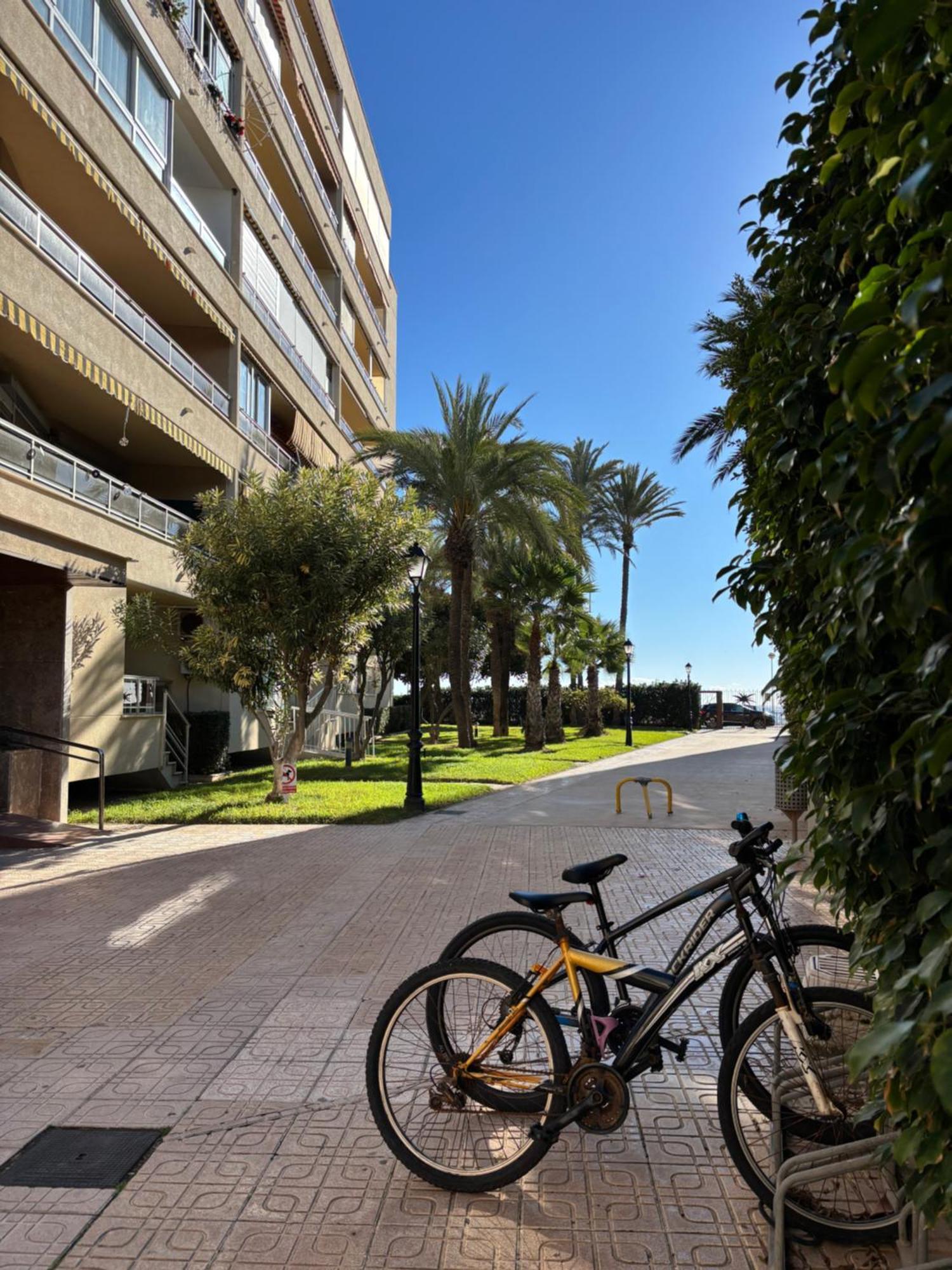 Primera Linea Playa El Palmeral Apartment